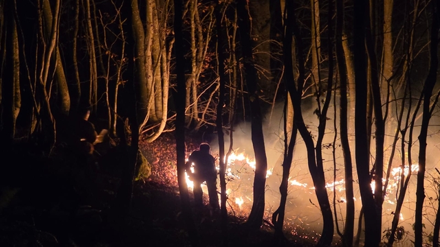 Ordu'da çıkan örtü yangınına müdahale ediliyor