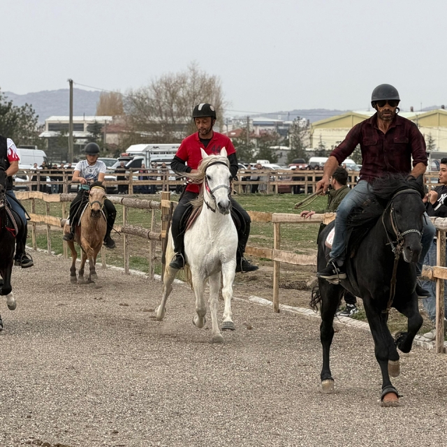 Tavşanlı'da Rahvan At Yarışları büyük ilgi gördü