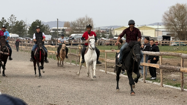 Tavşanlı'da Rahvan At Yarışları büyük ilgi gördü