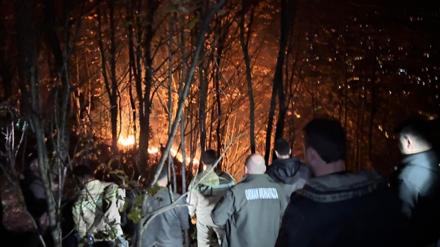 Ordu'da ormanlık alanda yangın