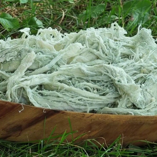 Yayladan sofraya doğal antibiyotik: Erzurum'un göğermiş peyniri