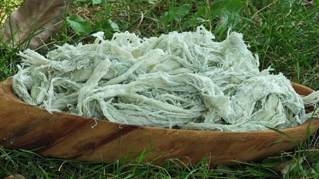 Yayladan sofraya doğal antibiyotik: Erzurum'un göğermiş peyniri