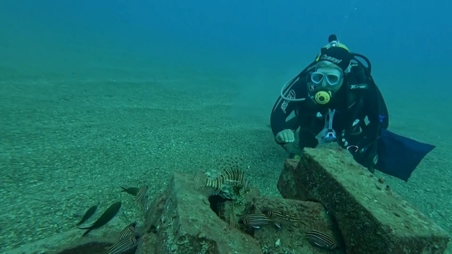 Profesör deniz dibinde taşlardan balıklara yuva yaptı: 12 tür barış içinde yaşıyor
Deniz dibindeki dev taşları birleştirip yapay resif yaptı, müren, balon, aslan balığı, ahtapot gibi 12 tür, aynı çatı altında yaşamaya başladı
O anlar su altı kamerasına yansıdı
Prof. Dr. Mehmet Gökoğlu:
"Çakıllı bir bölgede hiçbir balığın olmadığını görürken, bu modelle birlikte değişik balıkları görmeye başladık. Güzel bir balık popülasyonu oluştu"