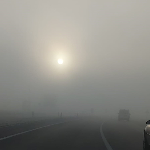 Bingöl'de yoğun sis: Görüş mesafesi 10 metreye düştü