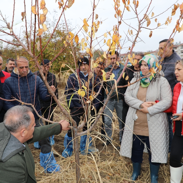 Elazığ'da ağaç budama ve aşılama eğitimi