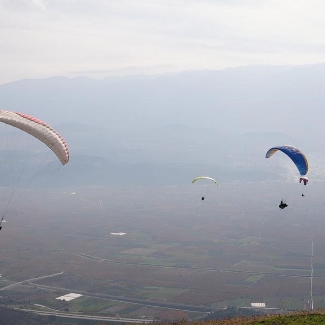 Yanan ormanlar için gökyüzünden paraşütle tohum yağdı
Yanan ormanlara, göky...