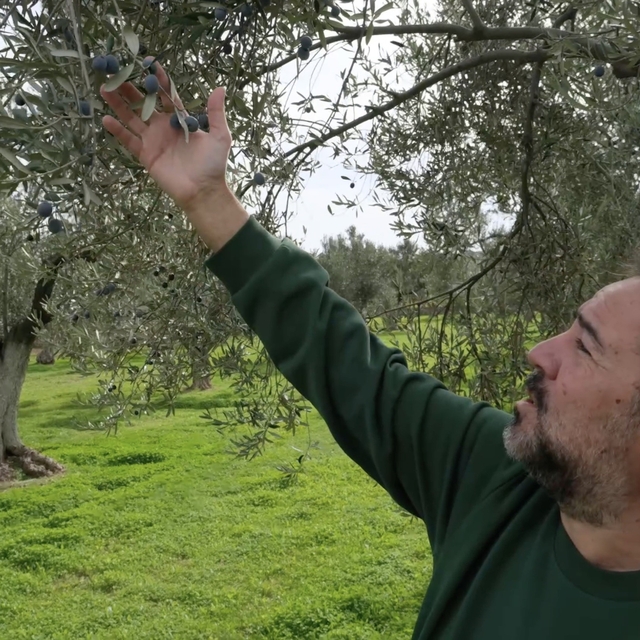 Ünlü komediyen Ata Demirer Çanakkale ve Bozcaada'ya olan aşkını anlattı
Kom...