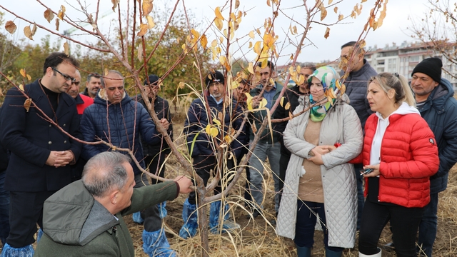 Elazığ'da ağaç budama ve aşılama eğitimi