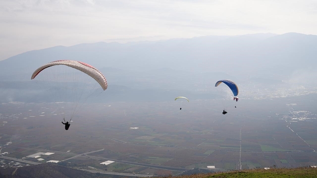 Yanan ormanlar için gökyüzünden paraşütle tohum yağdı
Yanan ormanlara, gökyüzünden umut serpildi