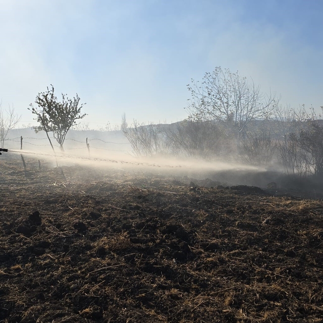 Tarlada çıkan yangın söndürüldü
