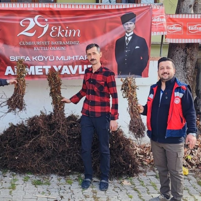 Domaniç'te çiftçilere yüzde 75 hibeli 3 bin adet ahududu fidanı dağıtıldı