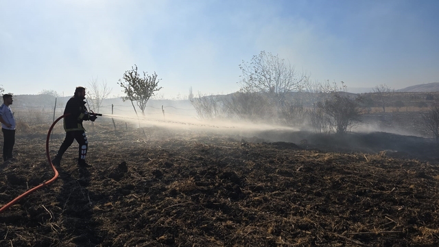 Tarlada çıkan yangın söndürüldü