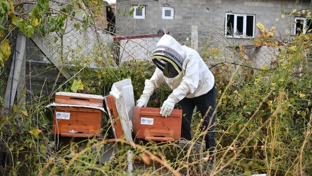 'Kovan sizden arı bizden' projesine teşekkür