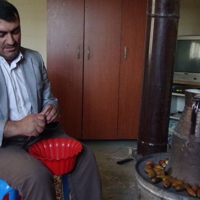 Gercüş'ün 'Doğu kestanesi': Organik meşe palamudu kış sofralarının vazgeçil...