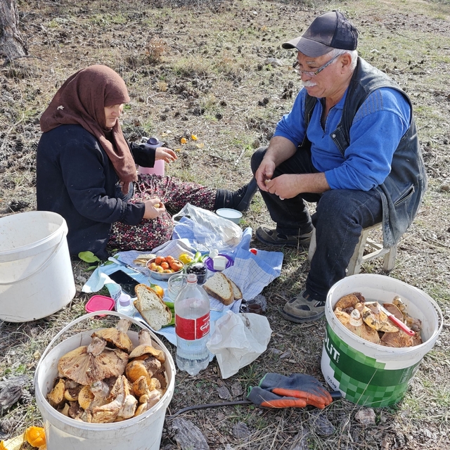 Hisarcık'ta yaşlı çiftin mantar mesaisi
Her gün önce arazide keyifle kahval...