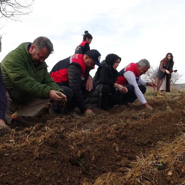Kastamonu'da kadınlara güç veren proje: 38 bin fide dağıtımı yapıldı