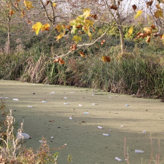 Su kanalı adeta çöplüğe döndü: Vatandaş Karasu Belediyesi'ni göreve çağırdı...