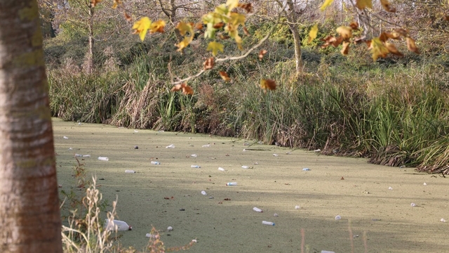 Su kanalı adeta çöplüğe döndü: Vatandaş Karasu Belediyesi'ni göreve çağırdı
Kanalda balık avı yapan mahalle sakini: "Belediyeden ricam gelip kanalı temizlemeleri"