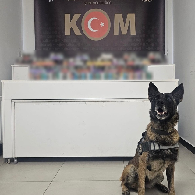 Kocaeli'de kaçakçılık operasyonunda 4 gözaltı