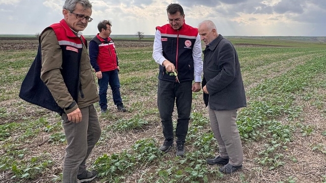 Aksoy: "Anıza ekim, yağmurun emilimini artırır ve buharlaşmayı azaltarak rutubeti toprakta tutar"