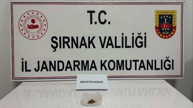 Şırnak'ta kaçakçılık ve asayiş operasyonlarında yakalanan 86 şüpheliden 1'i tutuklandı