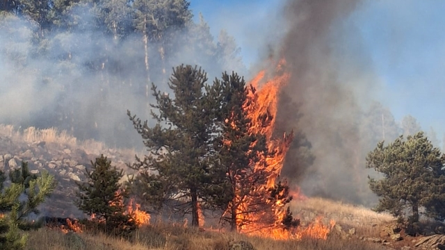 Erzurum'da 3 noktada çıkan orman yangınlarının 2'si kontrol altına alındı