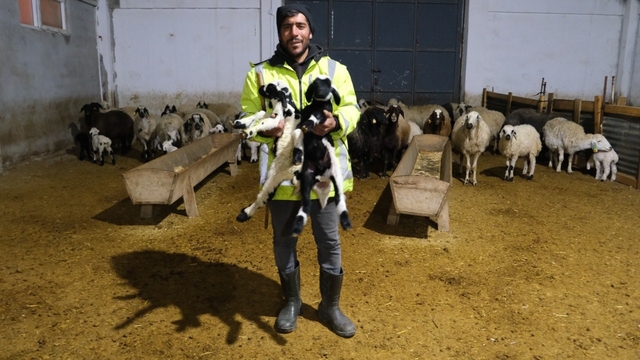 Erzincanlı üretici yüzde 50 hibe desteğiyle 8 Milyon TL'lik çiftlik kurdu