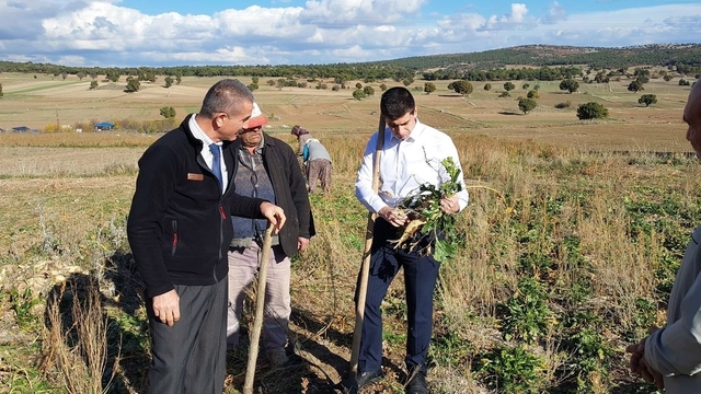Dumlupınar Kaymakamı Teltik, şeker pancarı hasadını yerinde inceledi