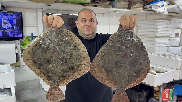 Karadeniz'de hamsi bereketi diğer balık türlerini de canlandırdı