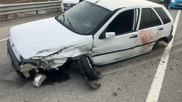 Yoldan çıkan otomobilin sürücüsü hayatını kaybetti