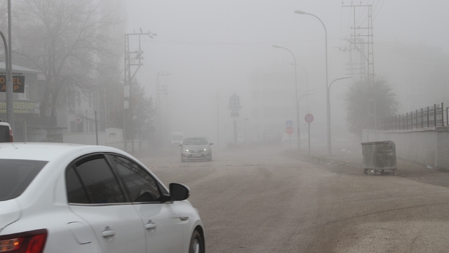 Malazgirt'te sis etkili oldu