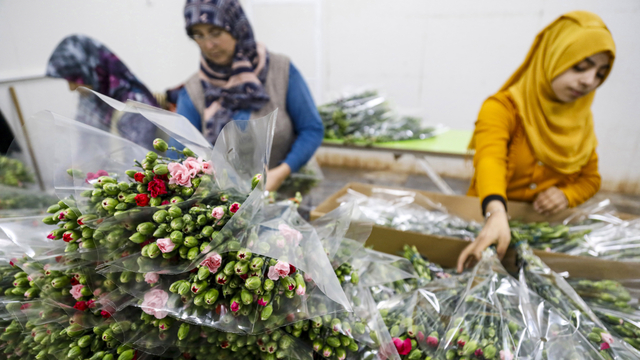 Çiçekte 10 aylık ihracat rekoru