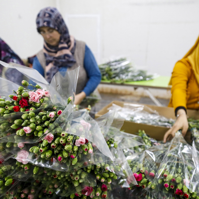 Çiçekte 10 aylık ihracat rekoru