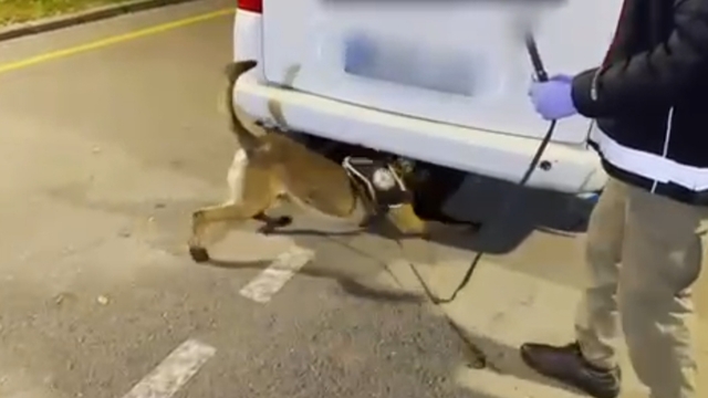 Stepneye zulalanmış 12 kilo uyuşturucuyu 'Hector' buldu