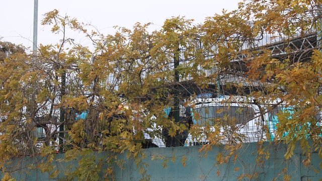 Geri dönüşüm tesisindeki koku ekipleri harekete geçirdi