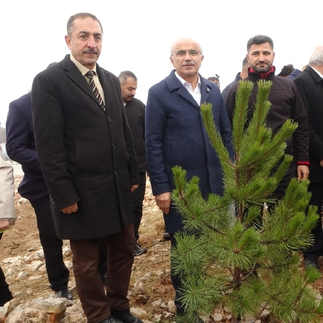 Beydağı'nın etekleri 10 bin 444 ağaçla geleceğe nefes oldu