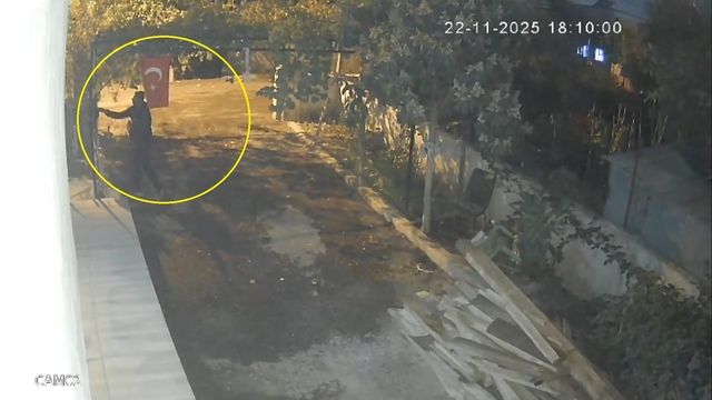 Osmaniye'de mavi yumurtlayan özel cins tavuk hırsızlığı kamerada