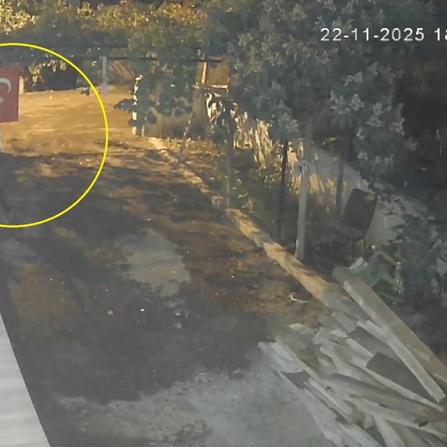 Osmaniye'de mavi yumurtlayan özel cins tavuk hırsızlığı kamerada