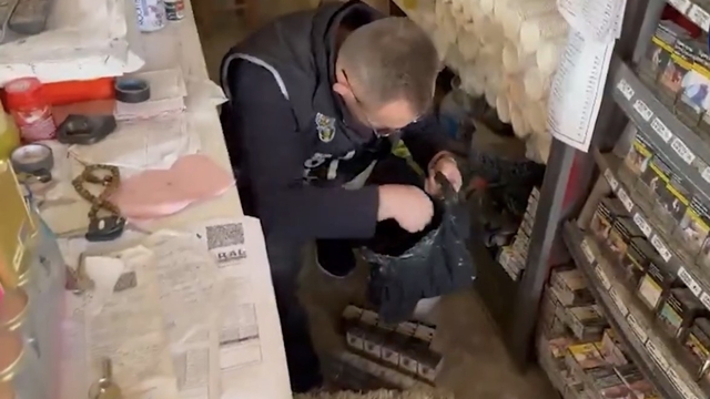 Iğdır'da kaçak sigara ve uyuşturucu ele geçirildi