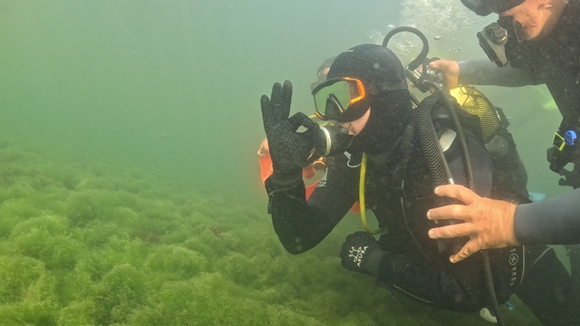 Belediye başkanı dalgıç kıyafeti giydi, dibe indi: Gördüğü manzara şaşırttı
Dalgıçların girmeye korktuğu İzmit Körfezi'nde artık pisi balıkları yüzüyor
Yıllarca "yanına yaklaşılmaz" denilen İzmit Körfezi'nde tarih değişti