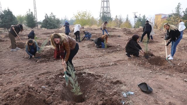 Kadına yönelik şiddete dikkat çekmek amacıyla fidan dikim etkinliği yapıldı