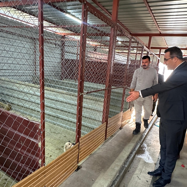 Sarıgöl'de hayvan bakım hizmetlerine yakın takip