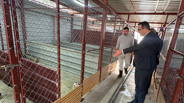 Sarıgöl'de hayvan bakım hizmetlerine yakın takip