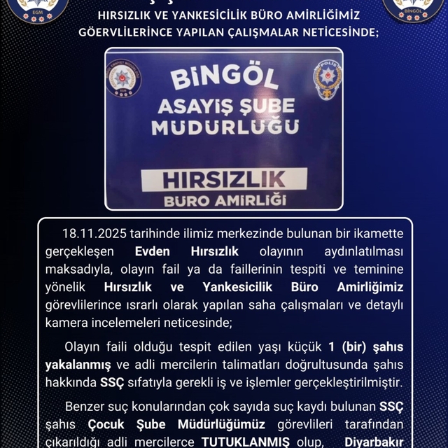 Bingöl'de hırsızlık olayının faili tutuklandı