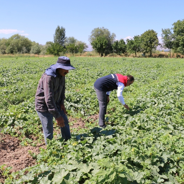 ÇKS başvuruları 31 Aralık'ta sona eriyor