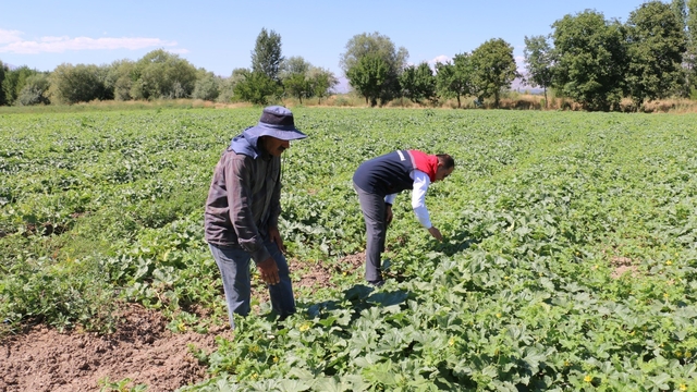 ÇKS başvuruları 31 Aralık'ta sona eriyor
