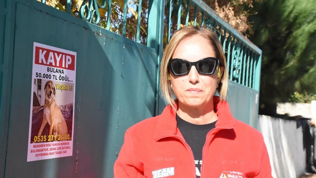 Kayıp köpeği Yaşar'ı bulana 50 bin lira verecek