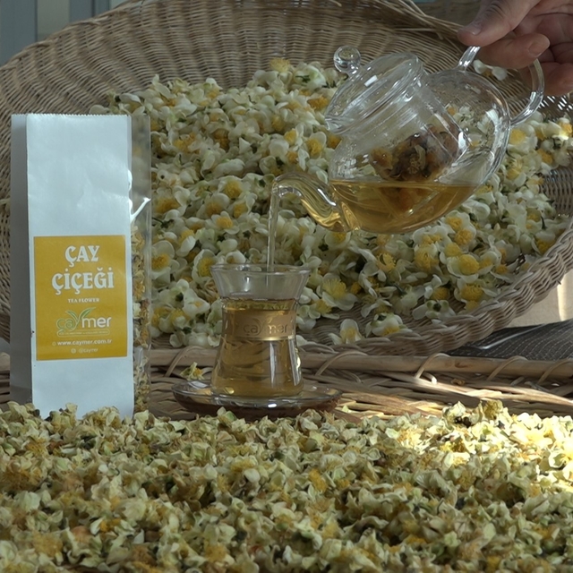 Çayın yeni ürünü 'Çay çiçeği çayı' 6 bin TL'den satılıyor
Yeşil, siyah, bey...