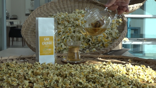 Çayın yeni ürünü 'Çay çiçeği çayı' 6 bin TL'den satılıyor
Yeşil, siyah, beyaz, oolong çayı derken şimdi de çayın çiçeğinden de çay yapılıyor