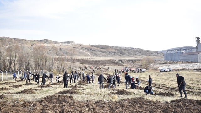 Sivas OSB'de yeşil dönüşüm binlerce fidan toprakla buluşuyor
